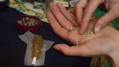 Zwei H&auml;nde mit getrocknetem Cannabis, im Hintergrund der Joint, der gerade gebaut wird